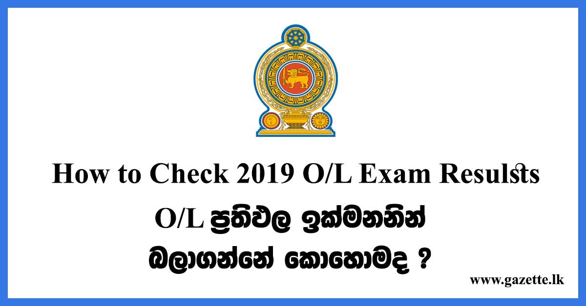 2019-O-L-Exam-Results-How-to-Check-Results-Fast