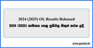GCE O/L 2024 (2025) Results Released - www.doenets.lk