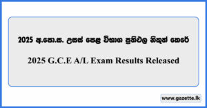GCE A/L 2025 (2026) Results Released - doenets.lk