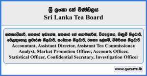 Accountant, Assistant Director, Assistant Tea Commissioner, Analyst, Market Promotion Officer, Accounts Officer, Statistical Officer, Confidential Secretary, Investigation Officer - Sri Lanka Tea Board Vacancies 2025
