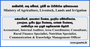 Accountant, Internal Auditor, Area Coordinator, Consultant, Rural Finance Specialist, Nutrition Specialist, Communication & Knowledge Management Officer - Ministry of Agriculture, Livestock, Lands and Irrigation Vacancies 2026