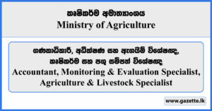 Accountant, Monitoring & Evaluation Specialist, Agriculture & Livestock Specialist - Ministry of Agriculture Vacancies 2024