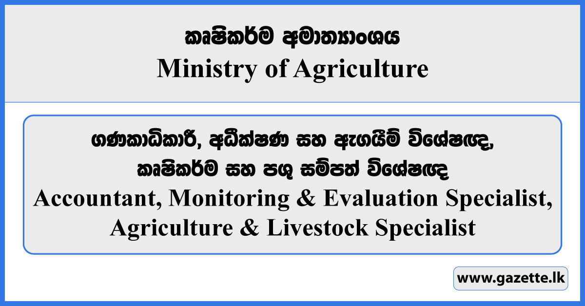 Accountant, Monitoring & Evaluation Specialist, Agriculture & Livestock Specialist - Ministry of Agriculture Vacancies 2024