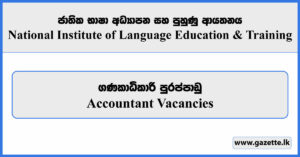 Accountant - National Institute of Language Education & Training Vacancies 2024