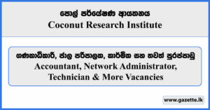 Accountant, Network Administrator, Technician - Coconut Research Institute Vacancies 2024