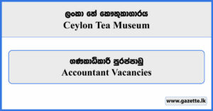 Accountant - Ceylon Tea Museum Vacancies 2024