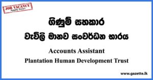Accounts Assistant - Plantation Human Development Trust Vacancies 2023