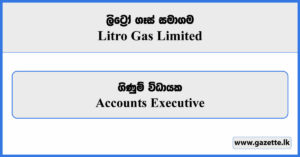 Accounts Executive - Litro Gas Limited Vacancies 2026