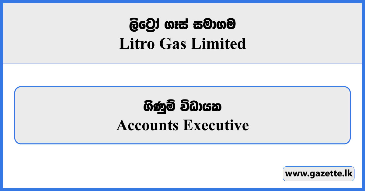 Accounts Executive - Litro Gas Limited Vacancies 2026
