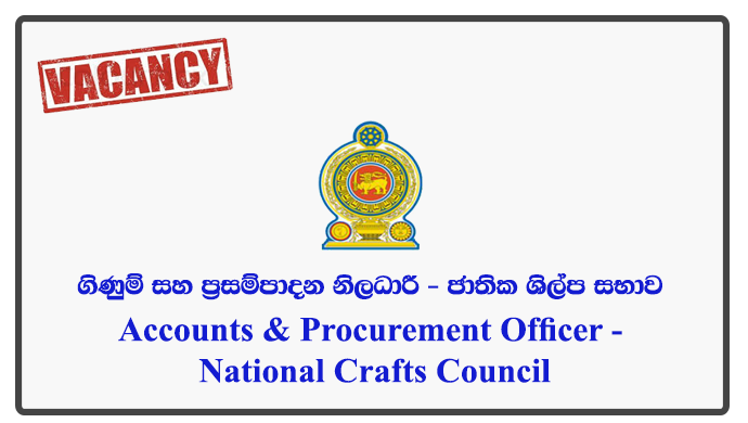 Accounts & Procurement Officer - National Crafts Council