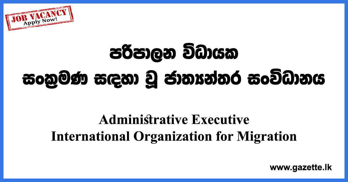 Administrative-Executive-IOM-UN-