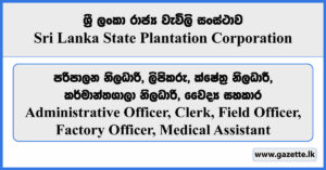 Administrative Officer, Clerk, Field Officer, Medical Assistant - Sri Lanka State Plantation Corporation Vacancies 2024