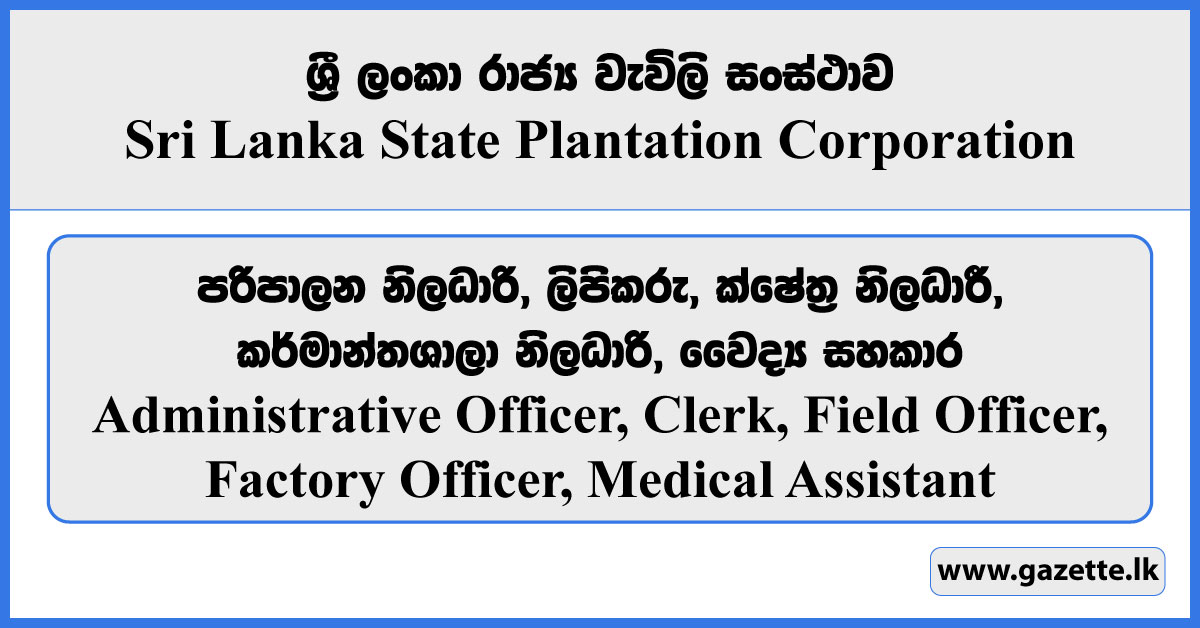 Administrative Officer, Clerk, Field Officer, Medical Assistant - Sri Lanka State Plantation Corporation Vacancies 2024