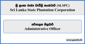 Administrative Officer - Sri Lanka State Plantation Corporation Vacancies 2026