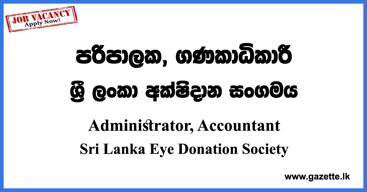 Administrator, Accountant