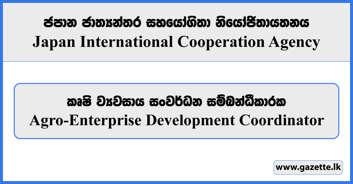 Agro-Enterprise Development Coordinator - Japan International Cooperation Agency Vacancies 2024