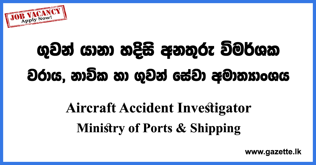 Aircraft Accident Investigator