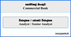 Analyst / Senior Analyst - Commercial Bank Vacancies 2026
