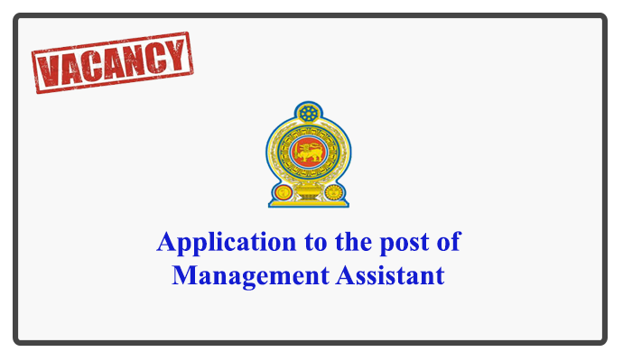 Application to the post of Management Assistant