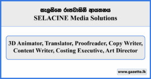 3D Animator, Translator, Proofreader, Copy Writer, Content Writer, Costing Executive, Art Director - SELACINE Vacancies 2026