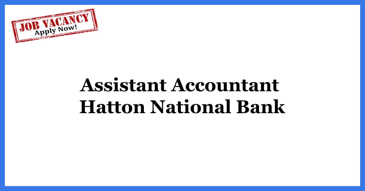 Assistant-Accountant