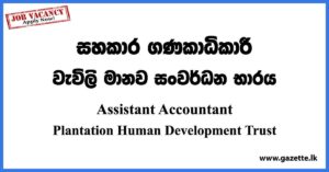Assistant Accountant - Plantation Human Development Trust Vacancies 2023