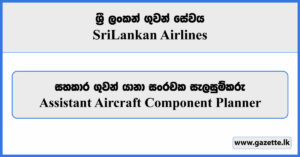 Assistant Aircraft Component Planner - Sri Lankan Airlines Vacancies 2023