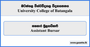 Assistant Bursar - University College Batangala Vacancies 2025
