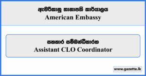 Assistant CLO Coordinator - American Embassy Vacancies 2024