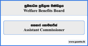 Assistant Commissioner - Welfare Benefits Board Vacancies 2024