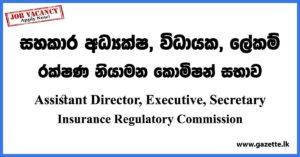 Assistant Director, Executive, Secretary - Insurance Regulatory Commission Vacancies 2023