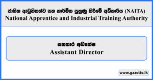 Assistant Director - National Apprentice and Industrial Training Authority (NAITA) Vacancies 2026