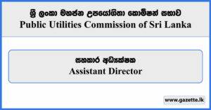 Assistant Director - Public Utilities Commission Vacancies 2023