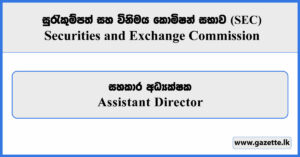 Assistant Director - Securities and Exchange Commission Vacancies 2026