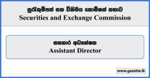 Assistant Director - Securities and Exchange Commission Vacancies 2024