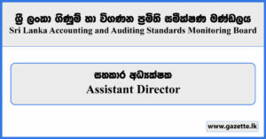 Assistant Director - Sri Lanka Accounting and Auditing Standards Monitoring Board Vacancies 2023