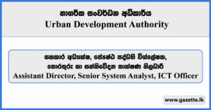 Assistant Director, Senior System Analyst, ICT Officer - Urban Development Authority Vacancies 2025