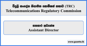 Assistant Director - Telecommunications Regulatory Commission Vacancies 2026