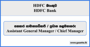 Assistant General Manager, Chief Manager - HDFC Bank Vacancies 2024