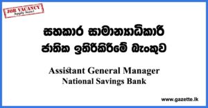 Assistant General Manager - National Savings Bank Vacancies 2023