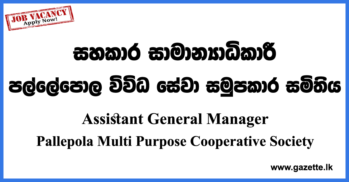 Assistant General Manager