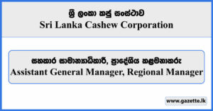 Assistant General Manager, Regional Manager - Sri Lanka Cashew Corporation Vacancies 2024