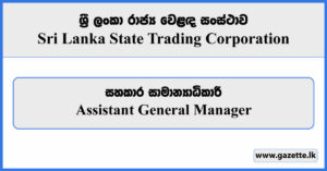 Assistant General Manager - State Trading Corporation Vacancies 2024