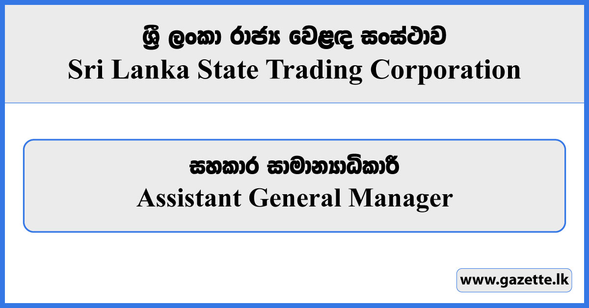 Assistant General Manager - State Trading Corporation Vacancies 2024