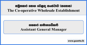 Assistant General Manager - Lanka Sathosa Vacancies 2026