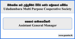 Assistant General Manager - Ududumbara Multi Purpose Cooperative Society Vacancies 2025