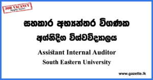 Assistant Internal Auditor Vacancies