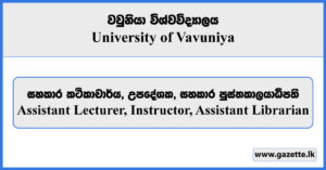 Temporary Assistant Lecturer, Instructor, Assistant Librarian - University of Vavuniya Vacancies 2025