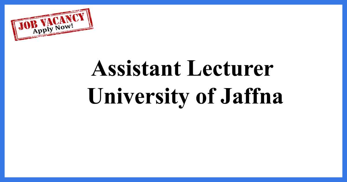 Assistant Lecturer