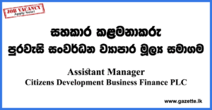 Assistant-Manager-CDB-www.gazette.lk
